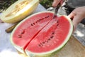 Cutting in pieces half of big red delicious watermelon on the table