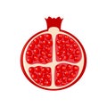 Cutting pomegranate. Half pomegranate. Vector illustration isol