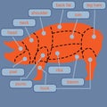 Cutting pork meat cuts diagram chart