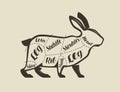 Cutting rabbit meat. Menu for restaurant or butcher shop. Vector vintage