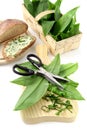 Cutting ramson leaves with herbal scissors. in background bread Royalty Free Stock Photo