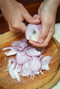 Cutting red onions on board Royalty Free Stock Photo