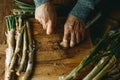 cutting the roots of some raw calcots typical of catalonia Royalty Free Stock Photo