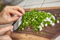 Cutting scallion Royalty Free Stock Photo