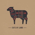 Cutting sheep meat painted in a vector.