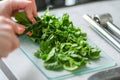 cutting spinach Royalty Free Stock Photo