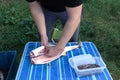 cutting sturgeon and get black caviar. Black caviar Royalty Free Stock Photo