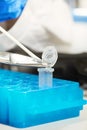 Cutting swab for dna sample preparation Royalty Free Stock Photo