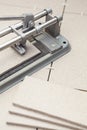 Cutting tiles with tilecutter Royalty Free Stock Photo