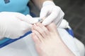 Cutting toe nails by pedicure Royalty Free Stock Photo