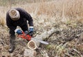 Cutting tree Royalty Free Stock Photo