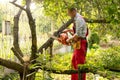 Cutting tree branches with a pole chain saw Royalty Free Stock Photo