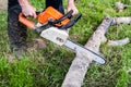 Cutting tree with a chainsaw Royalty Free Stock Photo