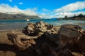 cutting tree stump and wankak lake important traveling destination in south island new zealand Royalty Free Stock Photo