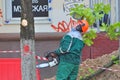 Cutting Trees Servises in the City