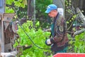 Cutting Trees Servises in the City