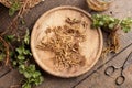 Cutting up fresh nettle root collected in early spring to prepare herbal tincture