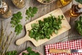 Cutting up fresh tetterwort or greater celandine plant - preparation of herbal tincture Royalty Free Stock Photo