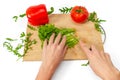 Cutting vegetables on kitchen board. Female hands cut green salad with a knife. White background Royalty Free Stock Photo