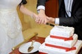 Cutting Wedding Cake Royalty Free Stock Photo