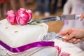 Cutting the wedding cake Royalty Free Stock Photo