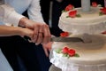 Cutting wedding cake Royalty Free Stock Photo