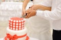 Cutting Wedding Cake Royalty Free Stock Photo