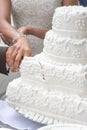 Cutting the weddingcake