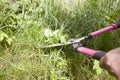 Cutting weeds