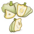 Cutting White Patty Pan squash. Cartoon style.