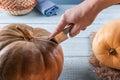 Cutting whole orange pumpkin with metal knife Royalty Free Stock Photo