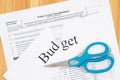 Cutting your monthly budget of your business expenses with the cut word budget