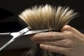 Cuttinghair Royalty Free Stock Photo