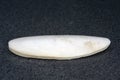 Cuttlefish bone Royalty Free Stock Photo