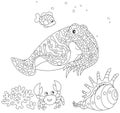 Cuttlefish, crab, shell and fish Royalty Free Stock Photo