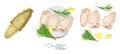 Cuttlefish seafood isolated sketch. Illustration of a dish of cuttlefish with lemon and rosemary on a plate. Cuttlefish