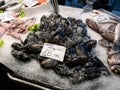 Cuttlefish with their Ink for Sale in Venice