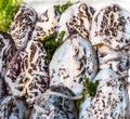 Cuttlefishes at market Royalty Free Stock Photo