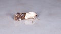 Cutworm Moth Royalty Free Stock Photo