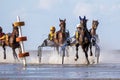 Cuxhaven, Germany - Aug 25, 2019: equestrian at the horse race in the mud flat at Duhner Wattrennen