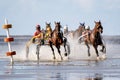 Cuxhaven, Germany - Aug 25, 2019: equestrian at the horse race in the mud flat at Duhner Wattrennen