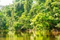 Cuyabeno Ecuador River Royalty Free Stock Photo