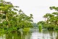 Cuyabeno Ecuador River Royalty Free Stock Photo