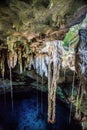 Cuzama cenote, Yucatan, Mexico Royalty Free Stock Photo