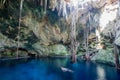 Cuzama cenote, Yucatan, Mexico Royalty Free Stock Photo