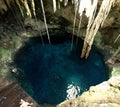 People swim in a cenote