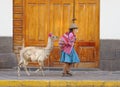 Cuzco, Peru: Quechua woman and alpaca. latin american colrs