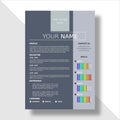 A cv template to apply for jobs. with gray color and colorful appearance in the skills section