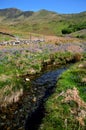 Cwm Pennant stream Royalty Free Stock Photo