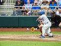 2018 CWS Florida Gators at bat